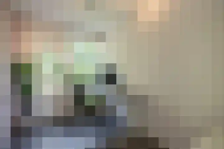 Holwerdalaan 113 Voorburg thumbnail 25