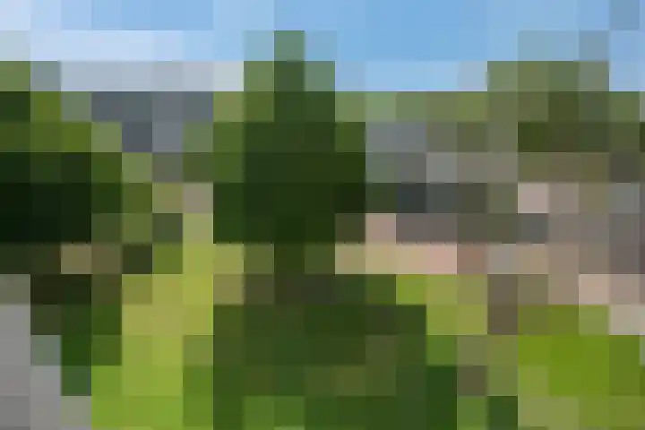 Holwerdalaan 113 Voorburg thumbnail 27