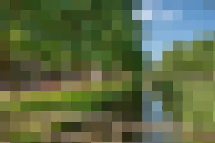 Holwerdalaan 113 Voorburg thumbnail 29