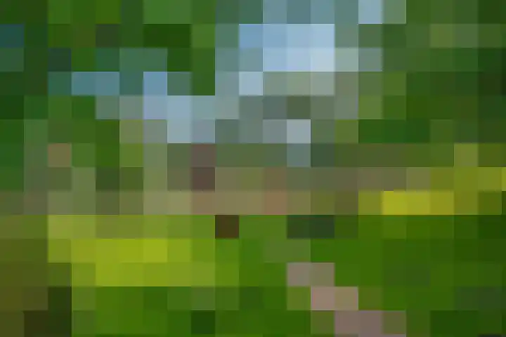 Holwerdalaan 113 Voorburg thumbnail 31