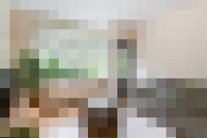 Holwerdalaan 120 Voorburg thumbnail 13