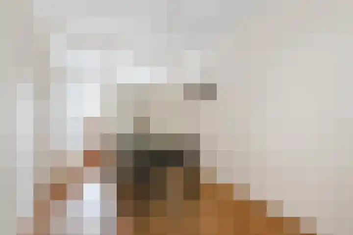 Holwerdalaan 120 Voorburg thumbnail 14