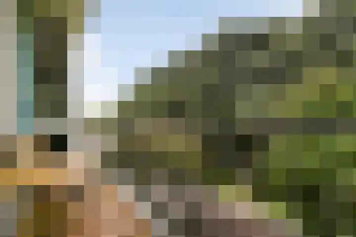 Holwerdalaan 120 Voorburg thumbnail 19