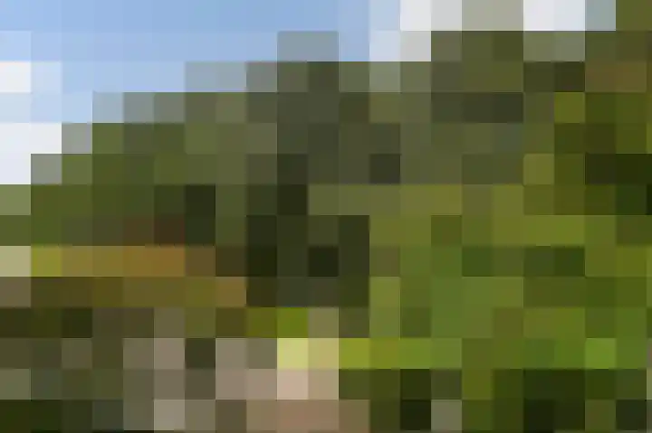 Holwerdalaan 120 Voorburg thumbnail 20