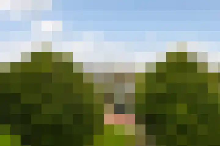Holwerdalaan 120 Voorburg thumbnail 21
