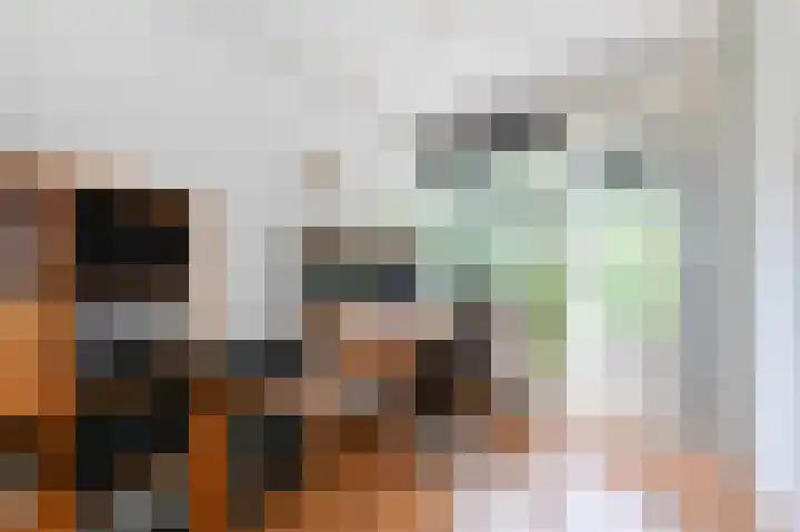 Holwerdalaan 120 Voorburg thumbnail 22