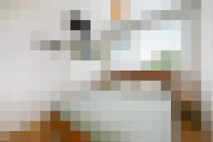 Holwerdalaan 120 Voorburg thumbnail 25