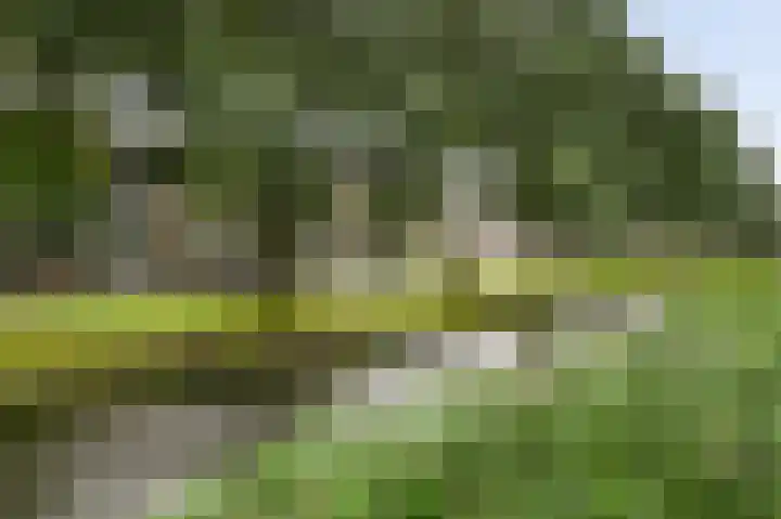 Holwerdalaan 120 Voorburg thumbnail 28