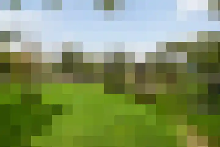 Holwerdalaan 120 Voorburg thumbnail 29