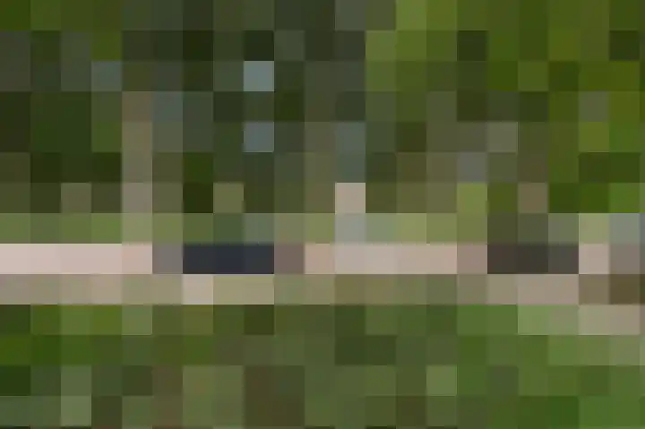 Holwerdalaan 120 Voorburg thumbnail 5