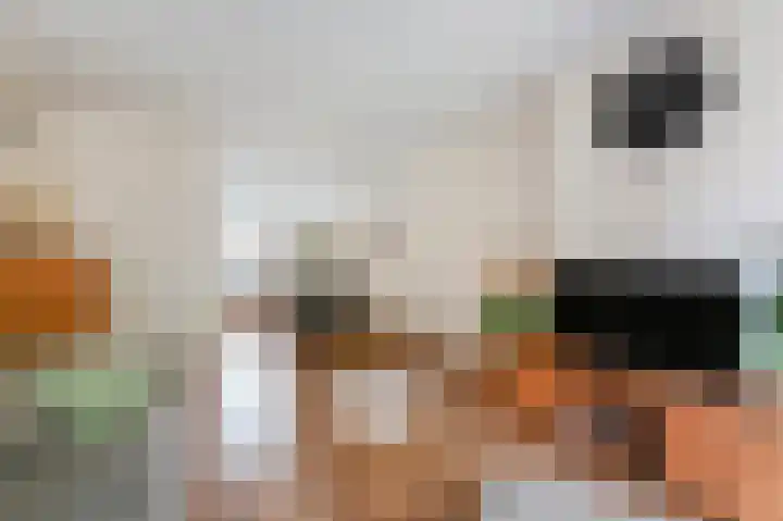 Holwerdalaan 120 Voorburg thumbnail 8