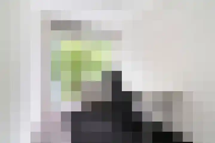 Holwerdalaan 121 Voorburg thumbnail 11