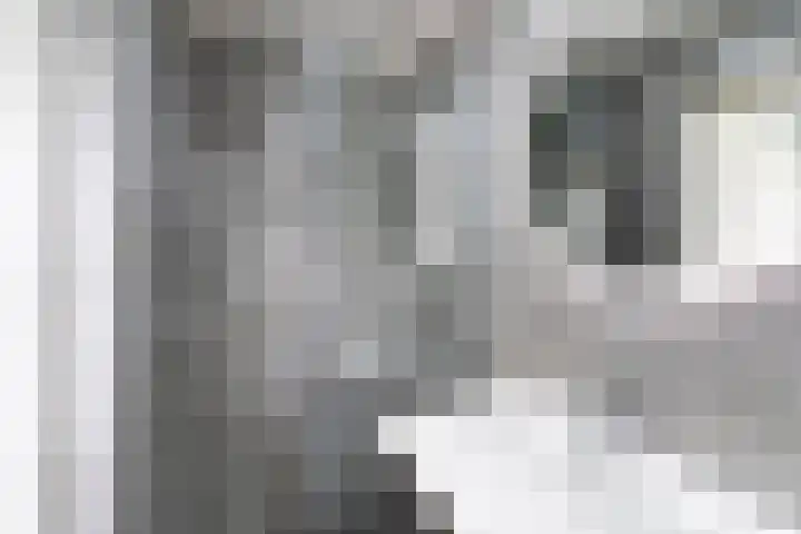 Holwerdalaan 121 Voorburg thumbnail 15