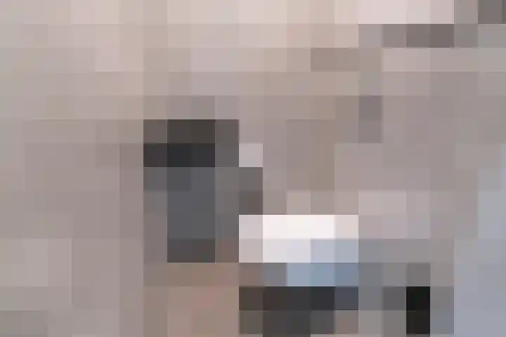 Holwerdalaan 121 Voorburg thumbnail 16