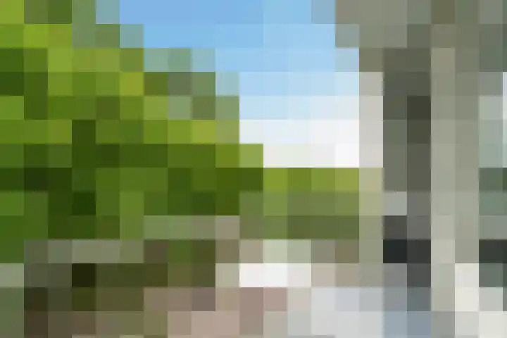Holwerdalaan 121 Voorburg thumbnail 17