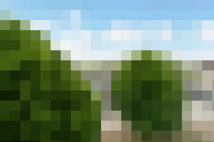 Holwerdalaan 121 Voorburg thumbnail 19