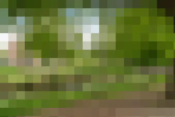 Holwerdalaan 121 Voorburg thumbnail 20