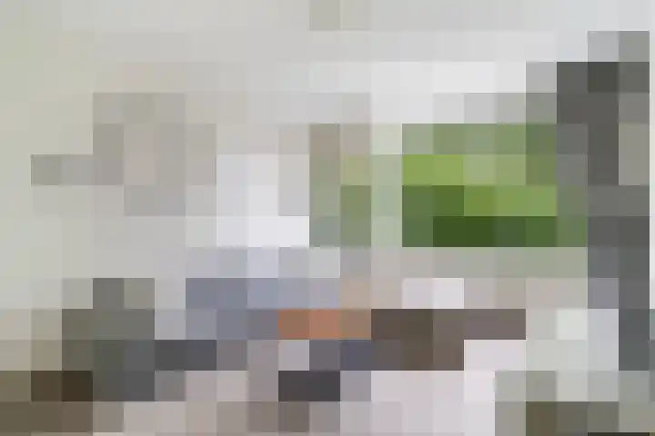 Holwerdalaan 121 Voorburg thumbnail 4