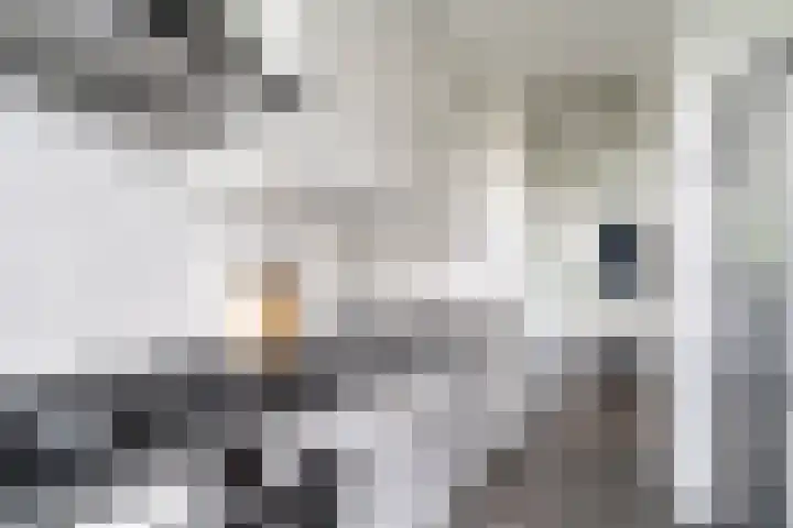 Holwerdalaan 121 Voorburg thumbnail 9
