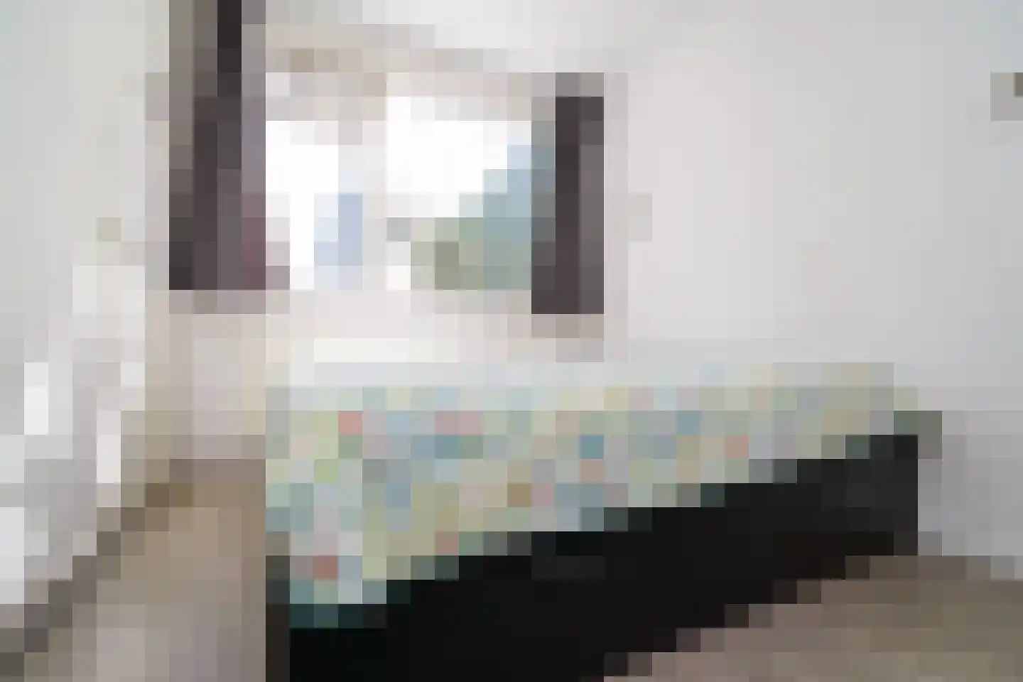 Holwerdalaan 141 Voorburg thumbnail 13