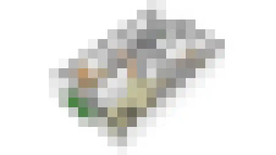Holwerdalaan 141 Voorburg thumbnail 24