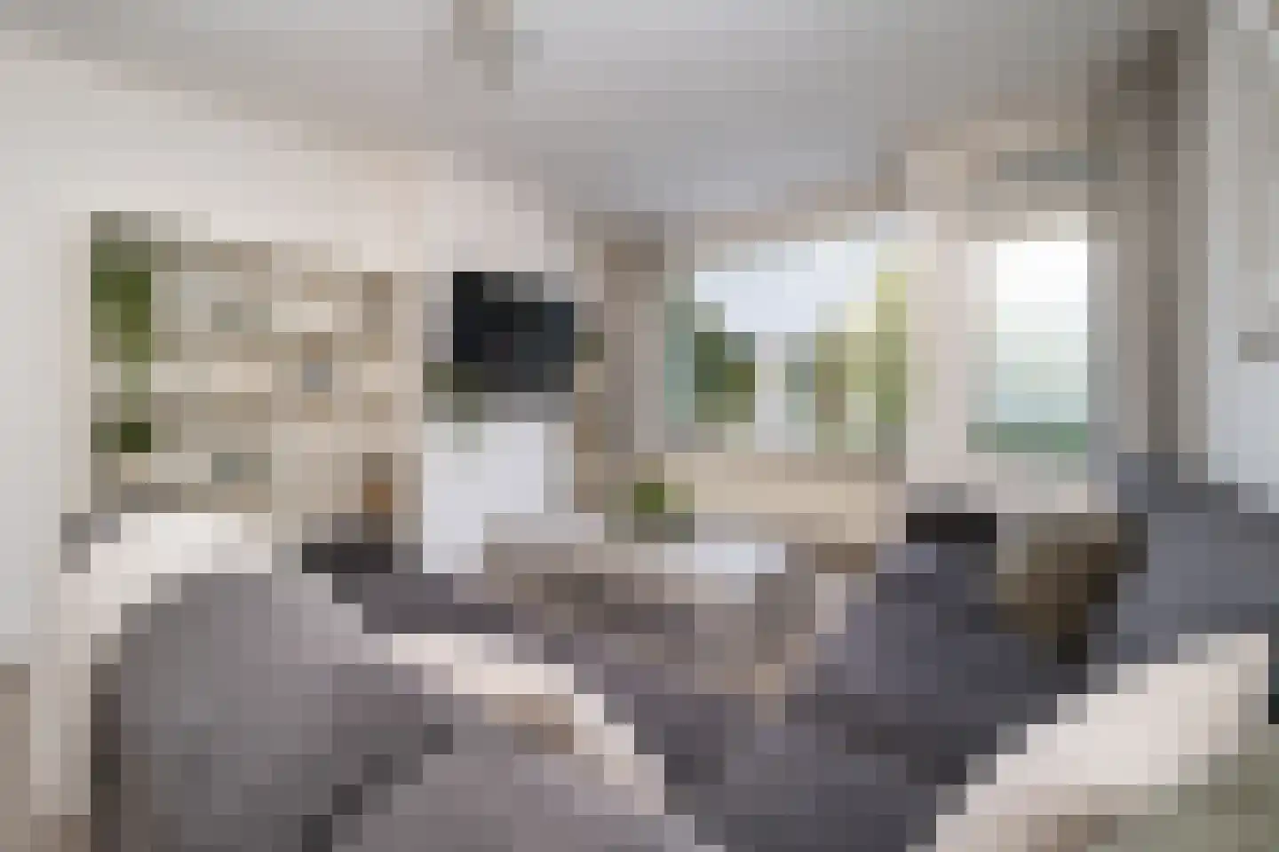 Holwerdalaan 141 Voorburg thumbnail 7