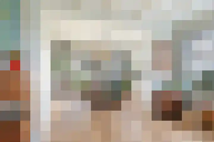 Holwerterdyk 17 Ternaard thumbnail 13