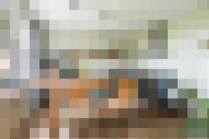Holwerterdyk 17 Ternaard thumbnail 19