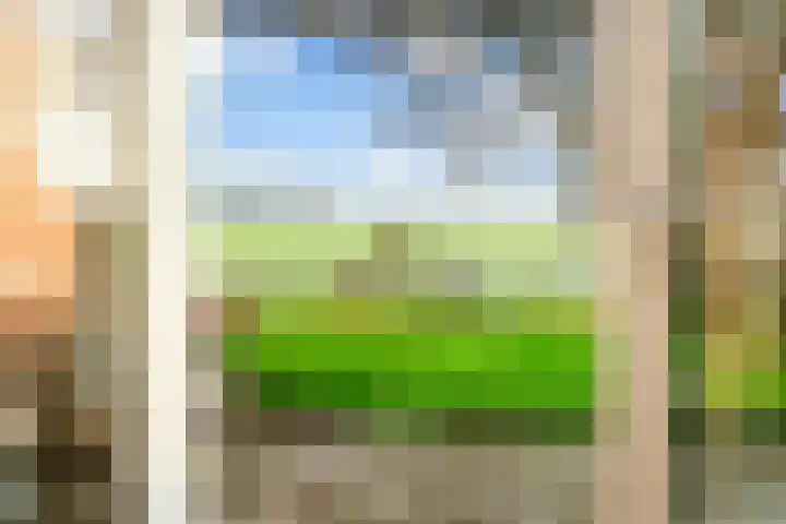 Holwerterdyk 17 Ternaard thumbnail 22