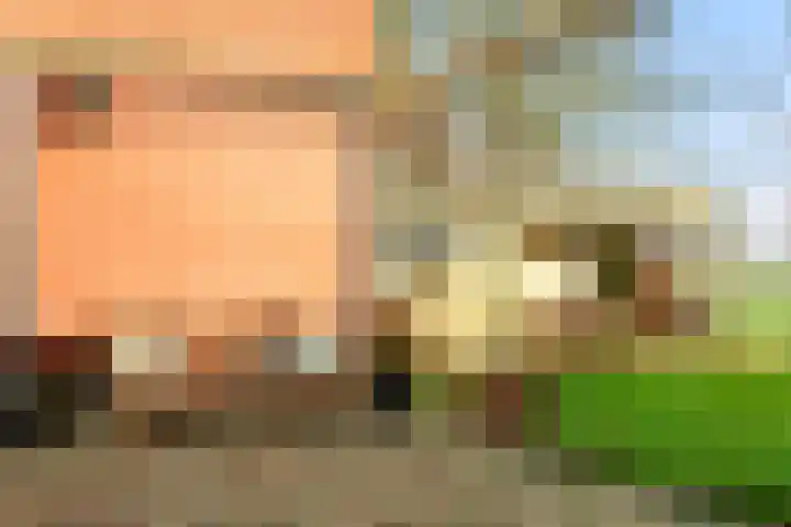 Holwerterdyk 17 Ternaard thumbnail 26