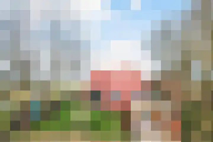 Holwerterdyk 17 Ternaard thumbnail 28