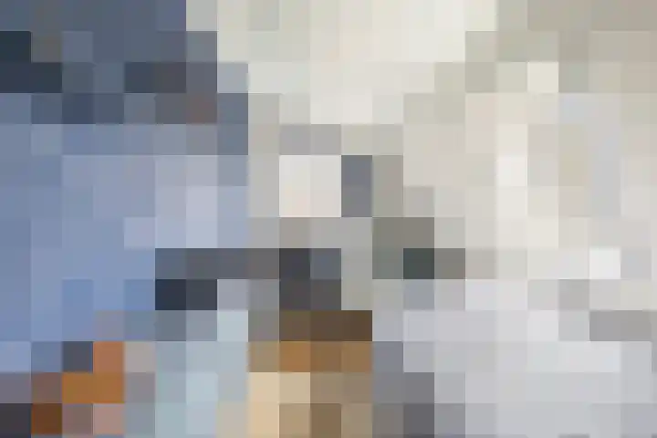 Holwerterdyk 17 Ternaard thumbnail 32