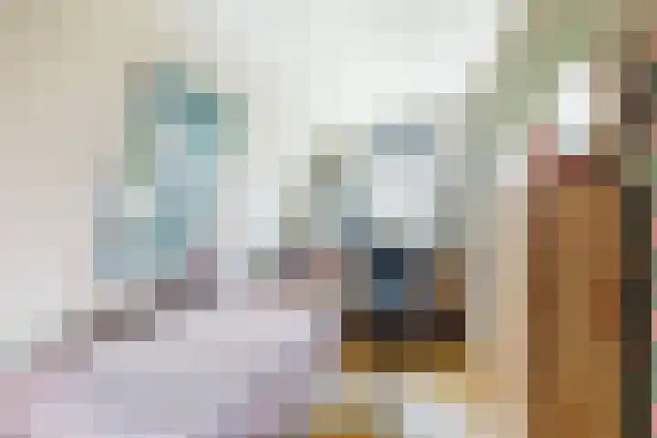 Holwerterdyk 17 Ternaard thumbnail 34