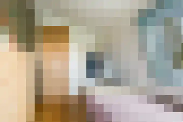 Holwerterdyk 17 Ternaard thumbnail 35