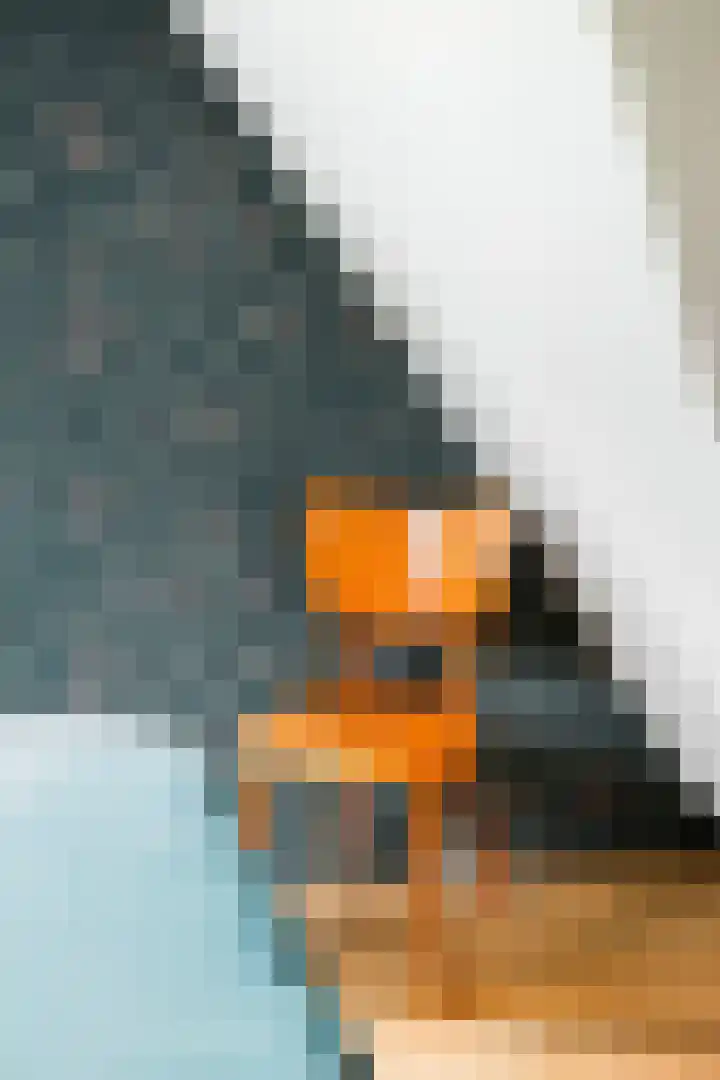 Holwerterdyk 17 Ternaard thumbnail 37