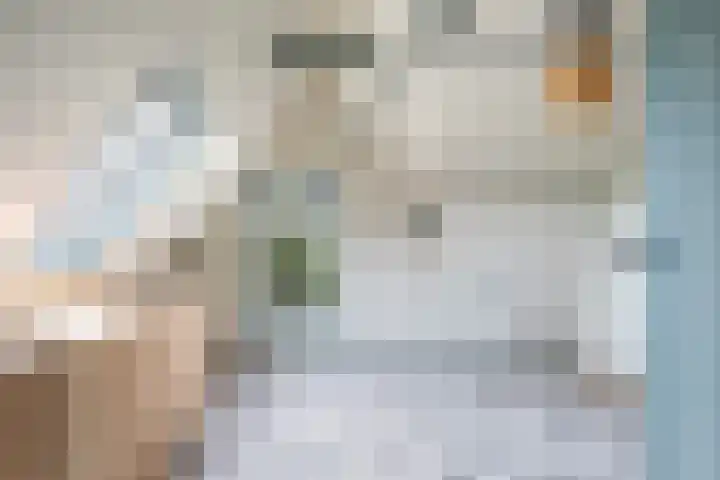 Holwerterdyk 17 Ternaard thumbnail 39