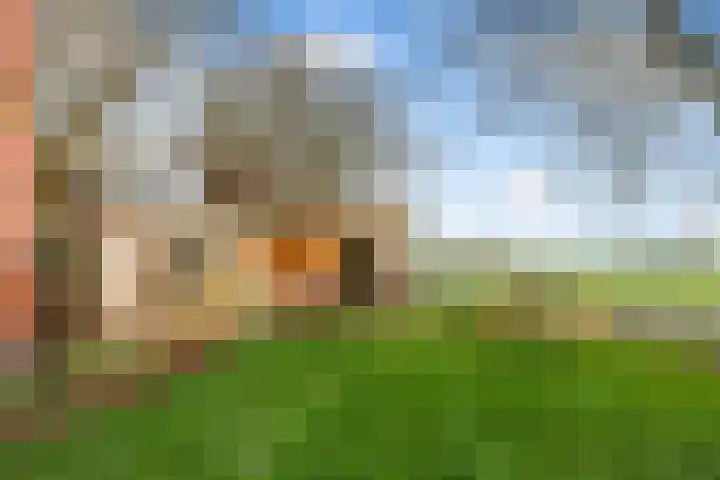 Holwerterdyk 17 Ternaard thumbnail 4
