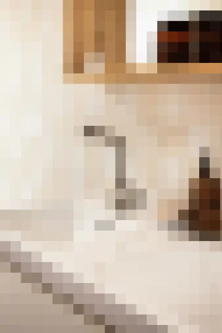 Holwerterdyk 17 Ternaard thumbnail 44