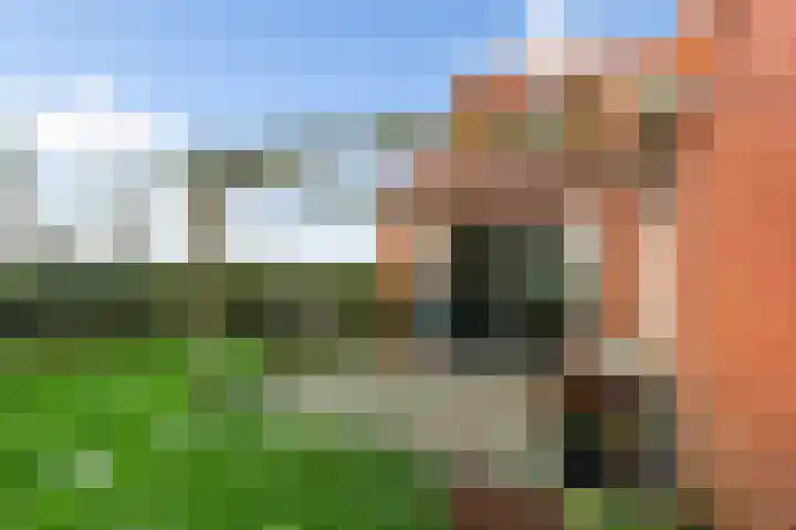 Holwerterdyk 17 Ternaard thumbnail 50