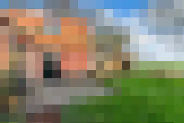 Holwerterdyk 17 Ternaard thumbnail 51