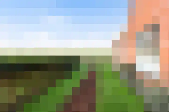 Holwerterdyk 17 Ternaard thumbnail 52
