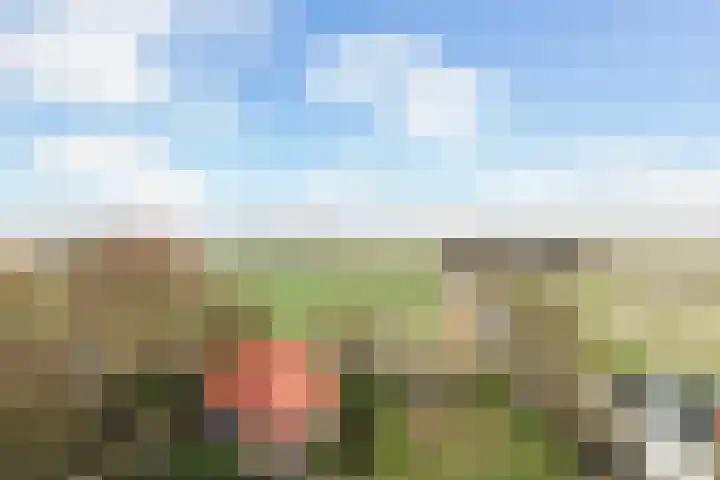 Holwerterdyk 17 Ternaard thumbnail 54
