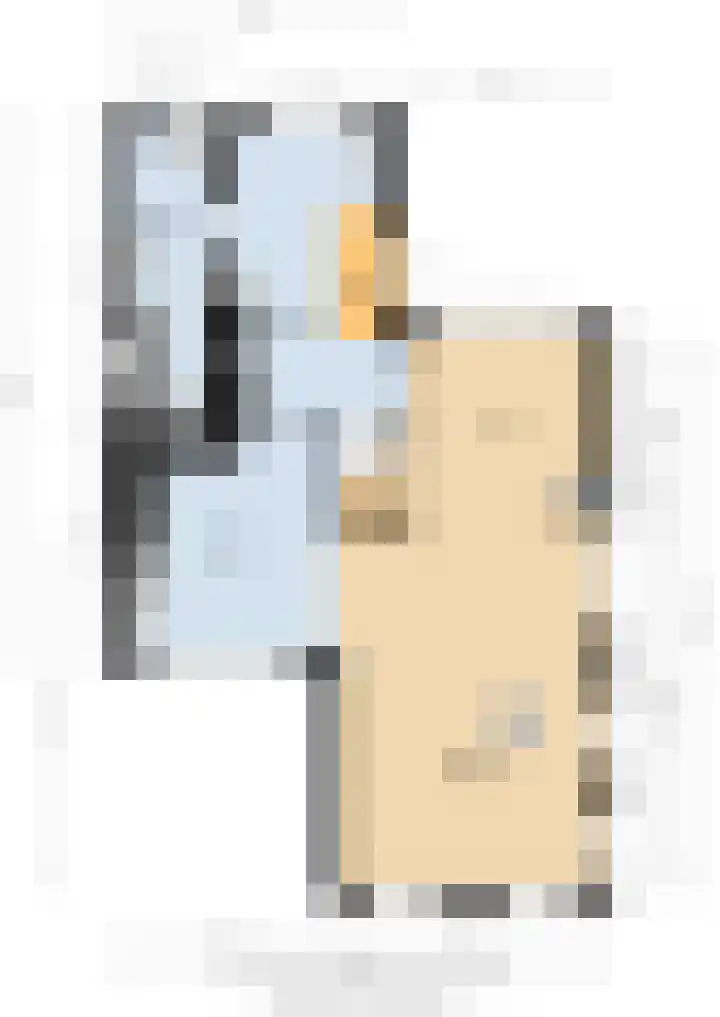 Holwerterdyk 17 Ternaard thumbnail 55