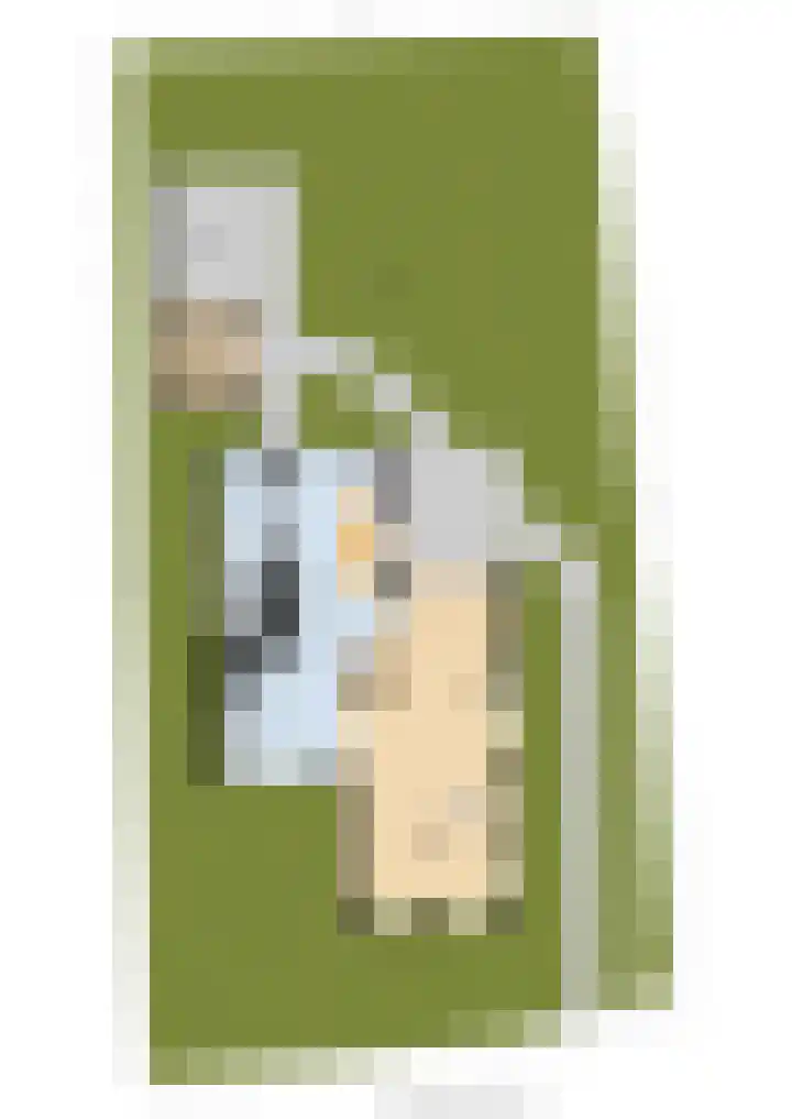 Holwerterdyk 17 Ternaard thumbnail 57