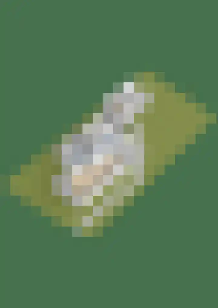 Holwerterdyk 17 Ternaard thumbnail 58