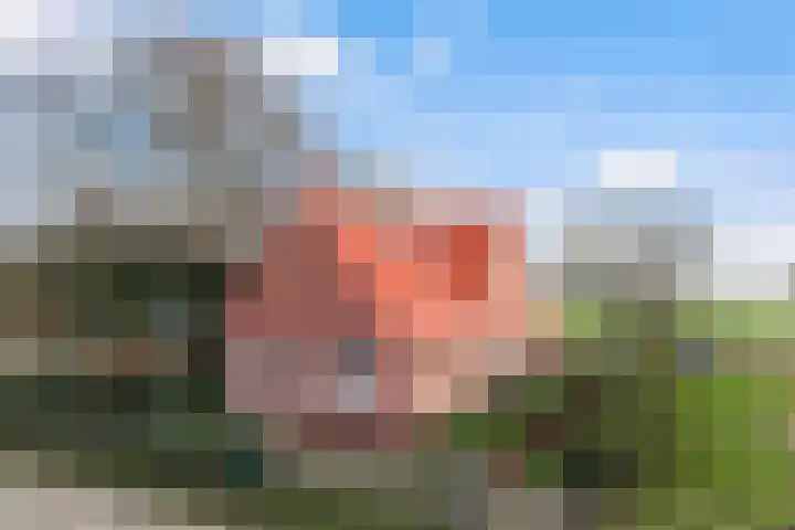 Holwerterdyk 17 Ternaard thumbnail 7