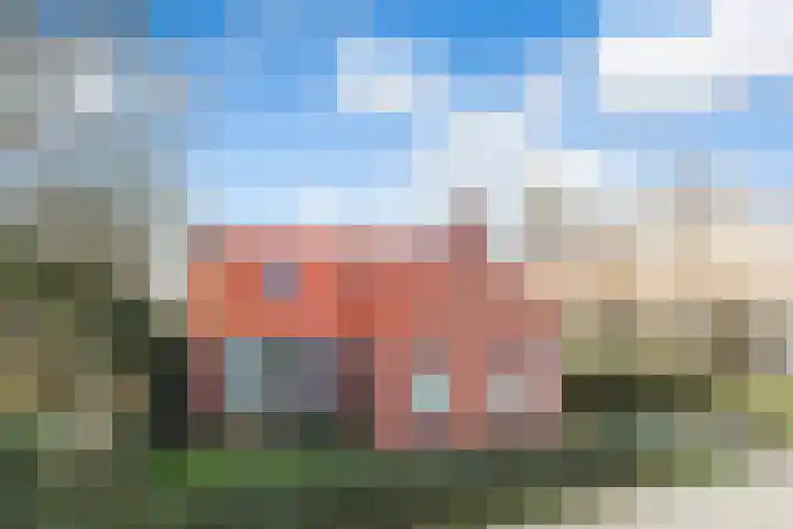 Holwerterdyk 17 Ternaard thumbnail 8