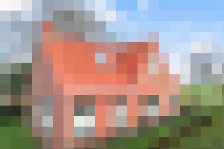 Holwerterdyk 17 Ternaard thumbnail 9