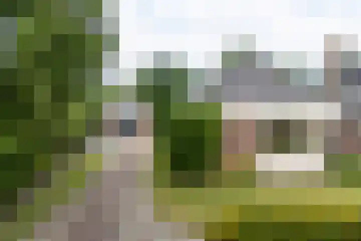 Holwerterdyk 4 Ternaard