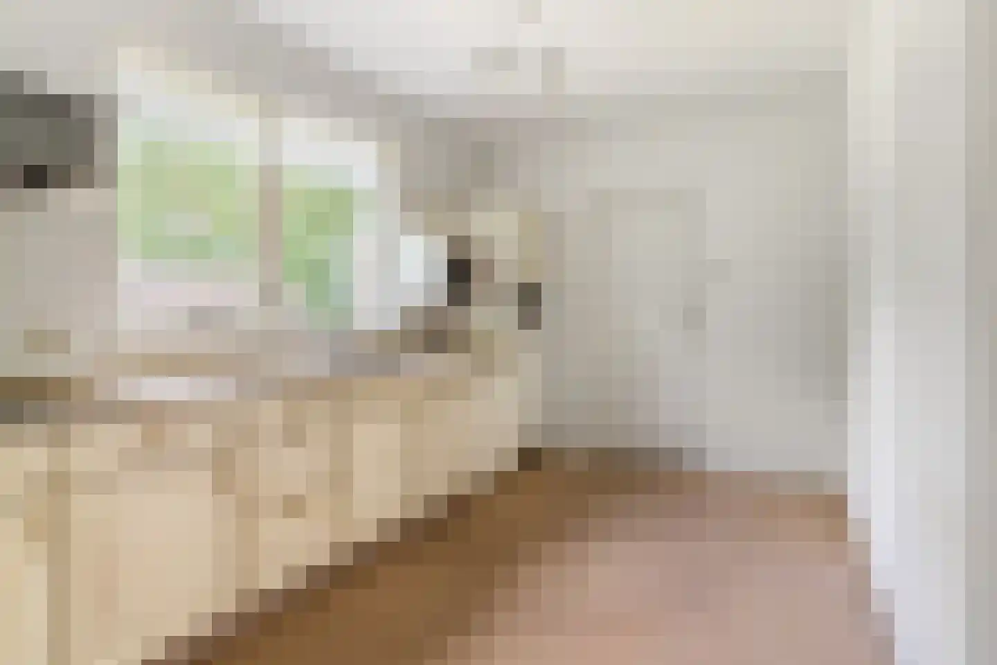 Holwerterdyk 8 Ternaard thumbnail 10